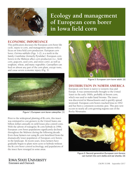 Ecology and Management of European Corn Borer in Iowa Field Corn