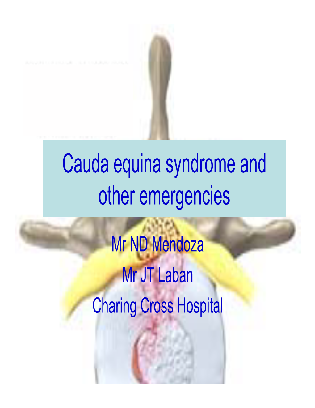 Cauda Equina Syndrome and Other Emergencies