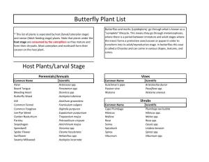 Butterfly Plant List
