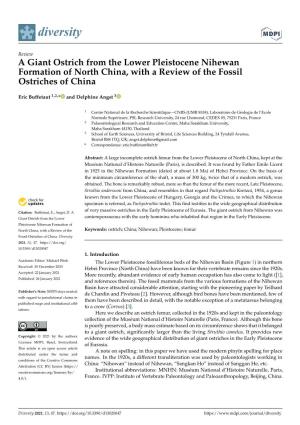 A Giant Ostrich from the Lower Pleistocene Nihewan Formation of North China, with a Review of the Fossil Ostriches of China