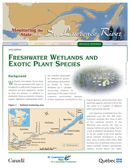 Freshwater Wetlands and Exotiv Plant Species