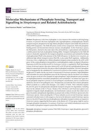 Molecular Mechanisms of Phosphate Sensing, Transport and Signalling in Streptomyces and Related Actinobacteria