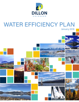 Town of Dillon Water Efficiency Plan 1