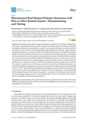 Miniaturised Rod-Shaped Polymer Structures with Wire Or Fibre Reinforcement—Manufacturing and Testing