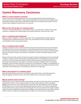 Canine Mammary Carcinoma