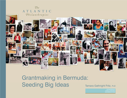Grantmaking in Bermuda