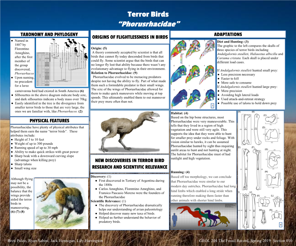 Terror Birds “Phorusrhacidae”