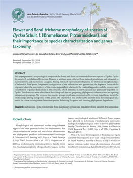 Flower and Floral Trichome Morphology of Species of Dyckia Schult. F