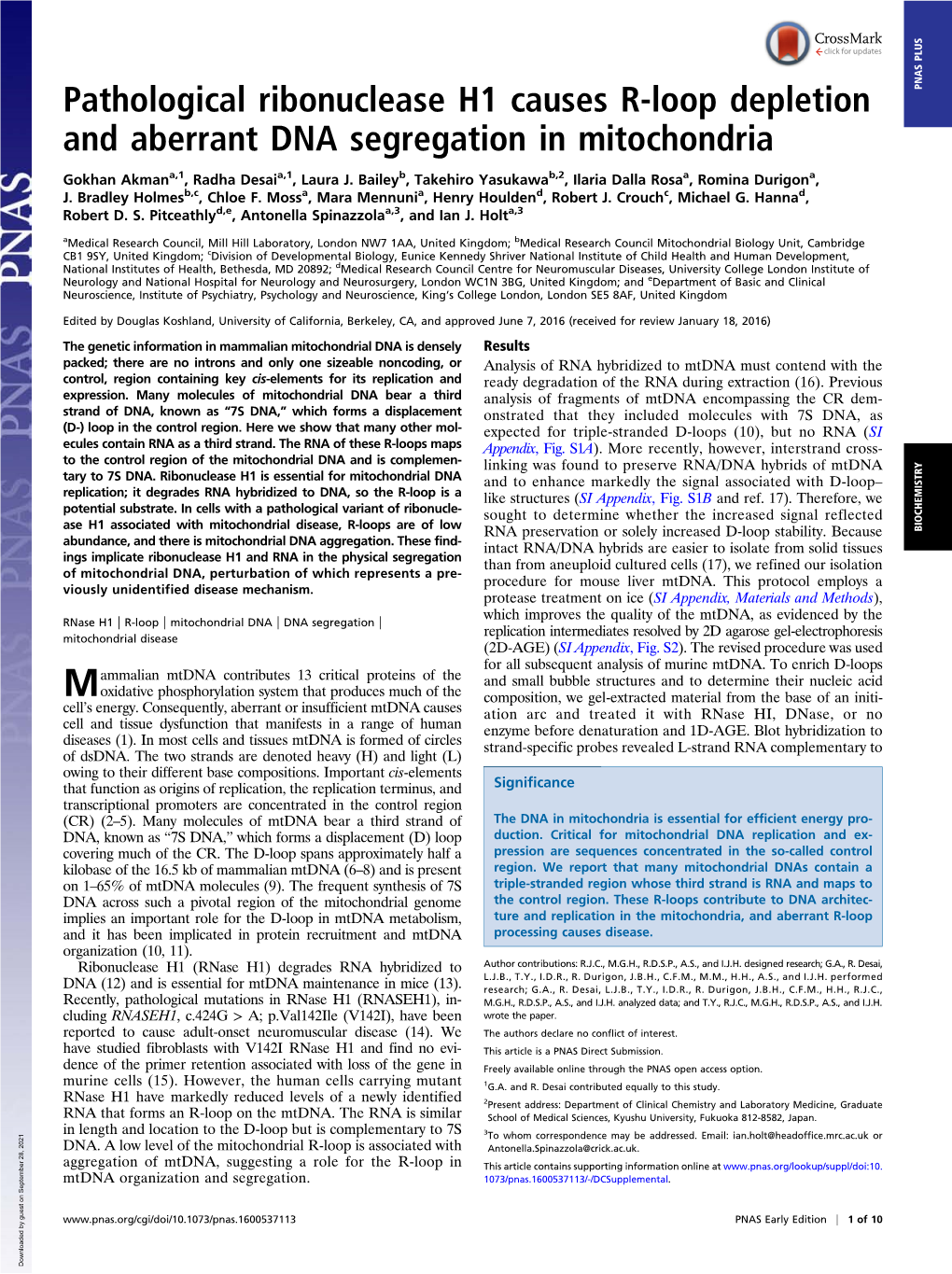 Pathological Ribonuclease H1 Causes R-Loop Depletion and Aberrant DNA Segregation in Mitochondria