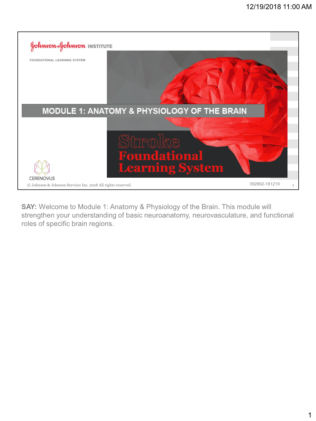 say-welcome-to-module-1-anatomy-physiology-of-the-brain-this-docslib