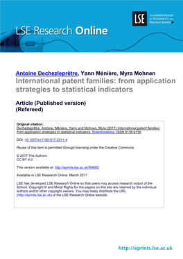 International Patent Families: from Application Strategies to Statistical Indicators