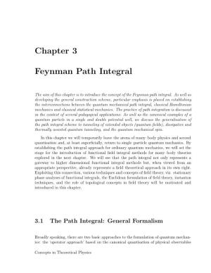 Chapter 3 Feynman Path Integral