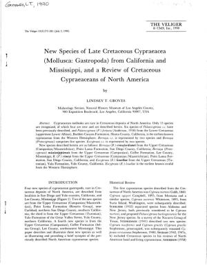 New Species of Late Cretaceous Gypraeacea (Mollusca: Gastropoda) from California and Mississippi, and a Review of Cretaceous Gypraeaceans of North America