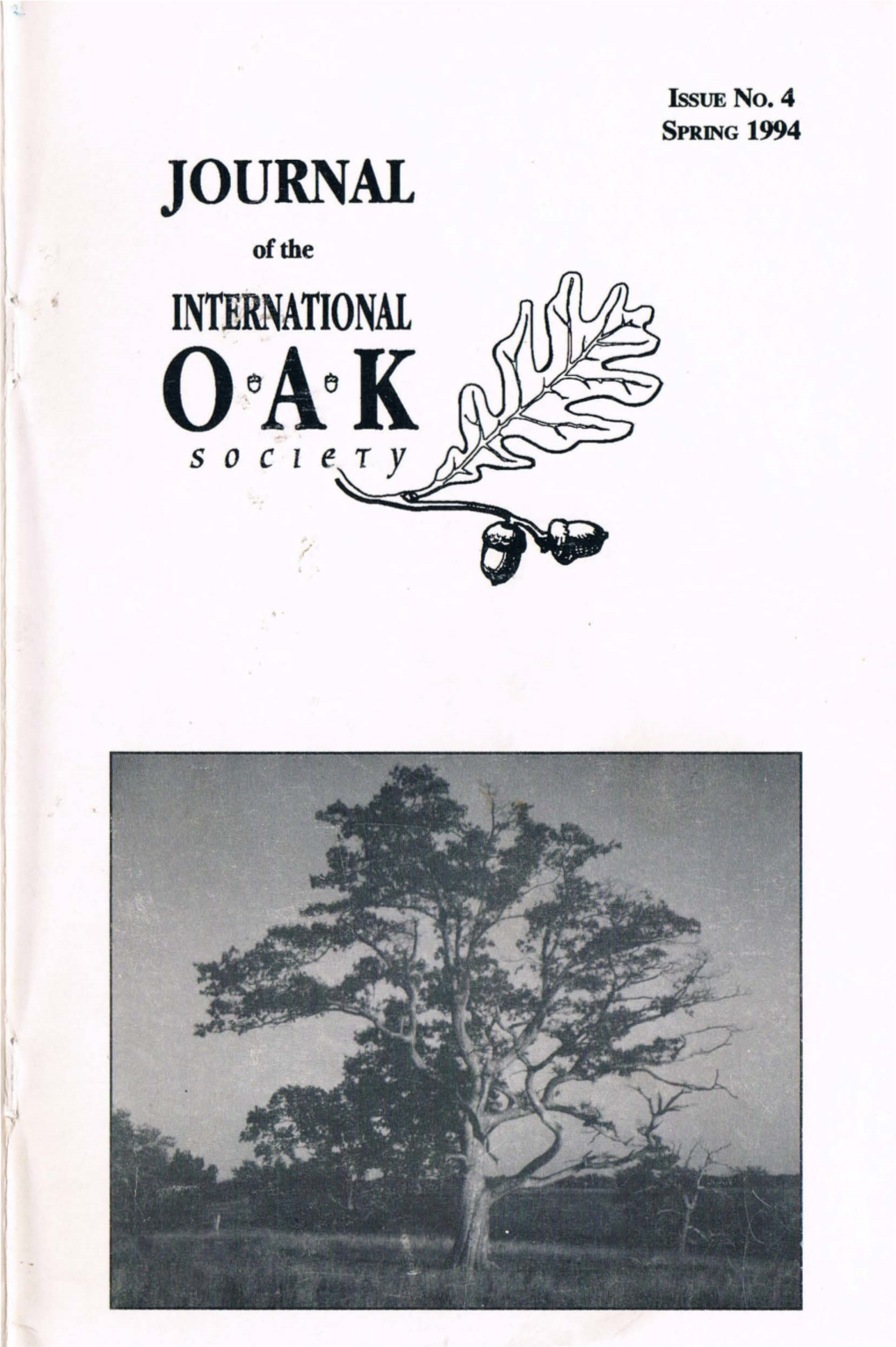 Quercus Prinoides, the Dwarf Chinkapin Oak