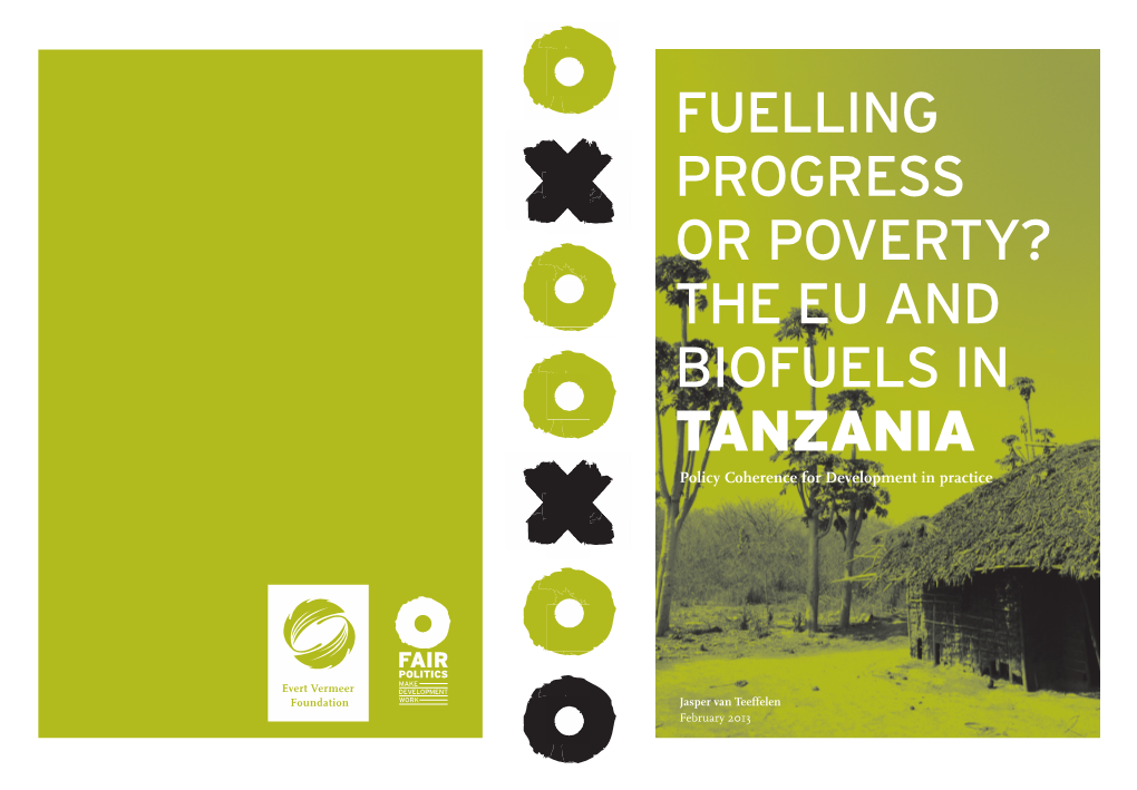 The Eu and Biofuels in Tanzania