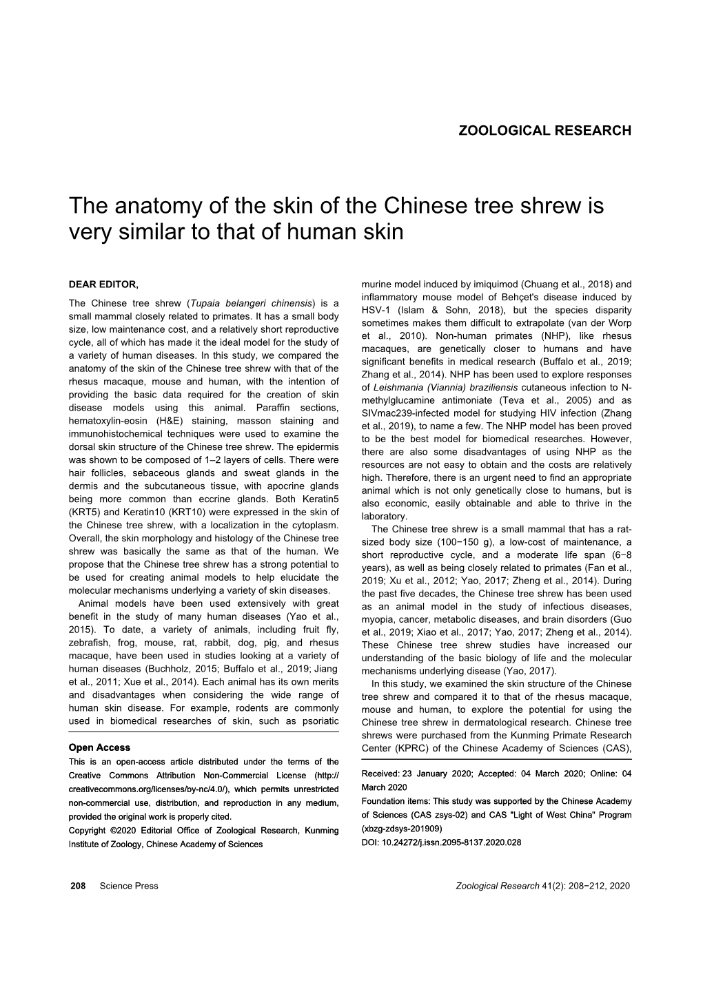 The Anatomy of the Skin of the Chinese Tree Shrew Is Very Similar to That of Human Skin