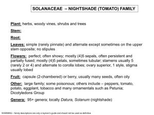 Solanaceae – Nightshade (Tomato) Family