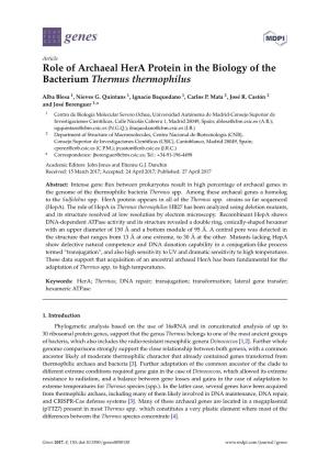 Role of Archaeal Hera Protein in the Biology of the Bacterium Thermus Thermophilus
