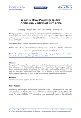 A Survey of Five Pireneitega Species (Agelenidae, Coelotinae) from China