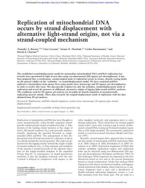 Replication of Mitochondrial DNA Occurs by Strand Displacement with Alternative Light-Strand Origins, Not Via a Strand-Coupled Mechanism