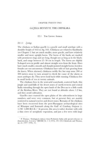 GAZELLA BENNETTI, the CHINKARA 22.1 the Living Animal