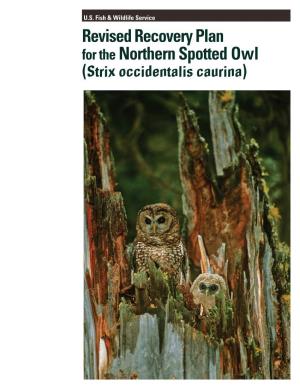 Revised Recovery Plan for the Northern Spotted Owl (Strix Occidentalis Caurina) Cover Photo: © Jared Hobbs, by Permission