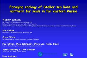 Foraging Ecology of Steller Sea Lions and Northern Fur Seals in Far Eastern Russia