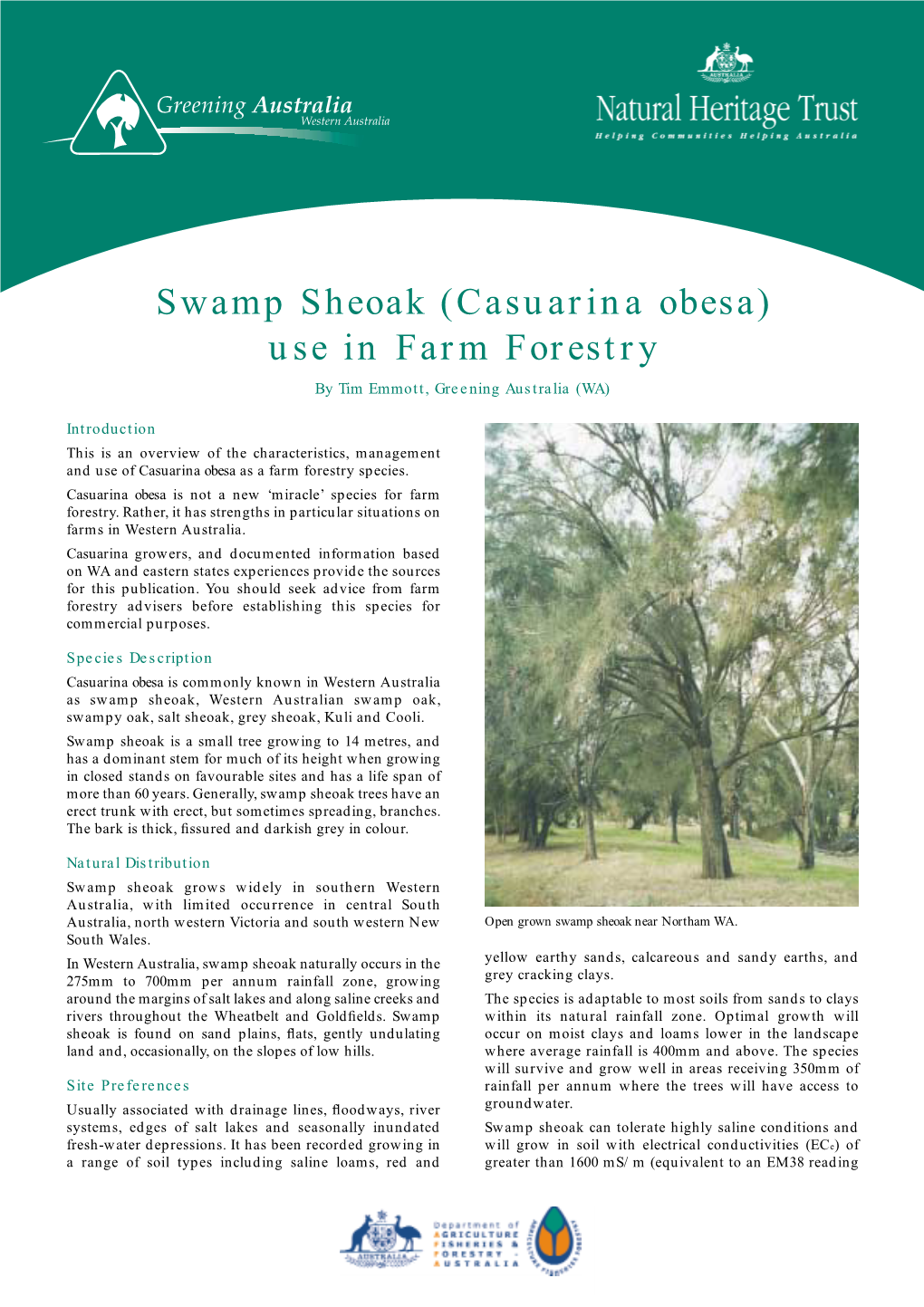 Swamp Sheoak (Casuarina Obesa) Use in Farm Forestry by Tim Emmott, Greening Australia (WA)