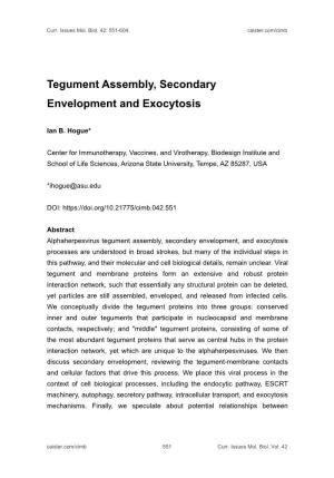 Tegument Assembly, Secondary Envelopment and Exocytosis
