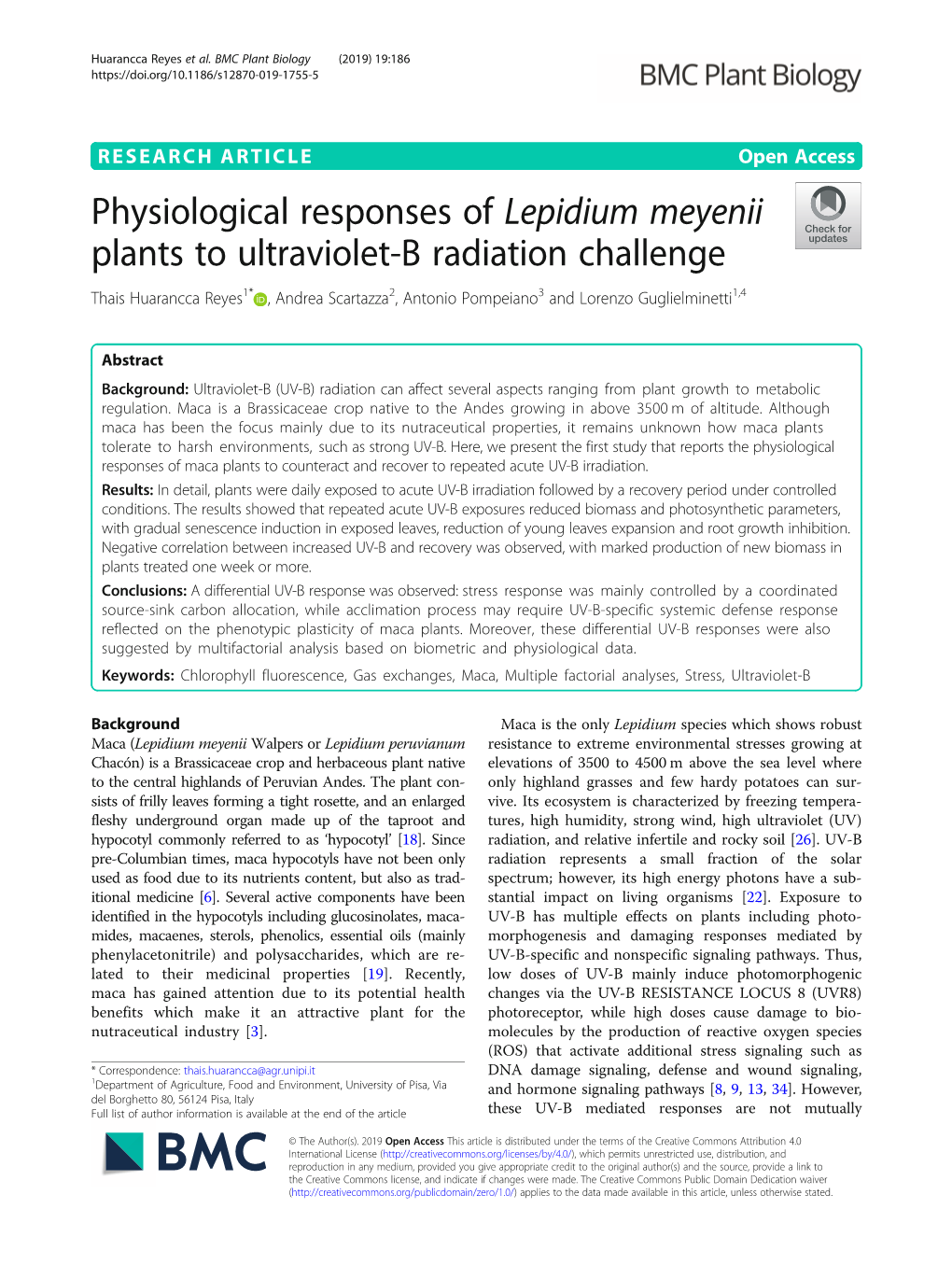 Physiological Responses of Lepidium Meyenii Plants to Ultraviolet-B