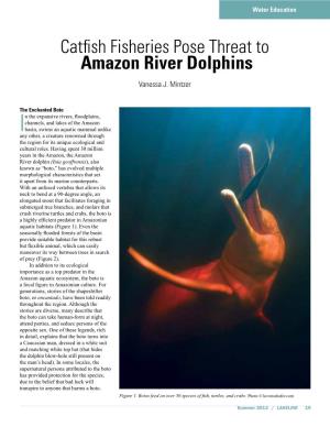 Catfish Fisheries Pose Threat to Amazon River Dolphins