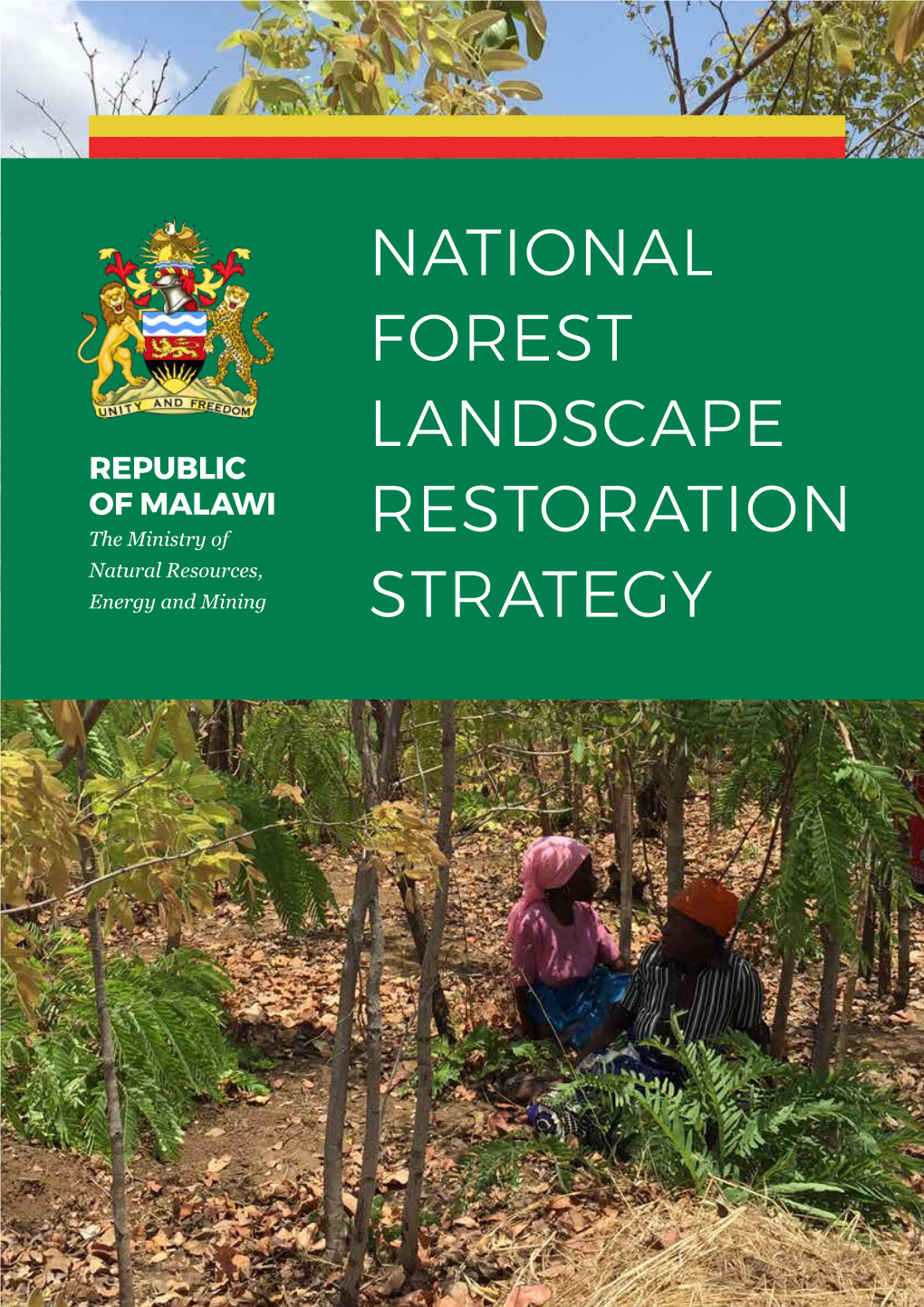 National Forest Landscape Restoration Strategy I Ii Republic of Malawi: Ministry of Natural Resources, Energy and Mining TABLE of CONTENTS