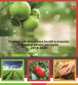 Strategia De Dezvoltare Locală a Orașului Flămânzi Pentru Perioada 2014-2020