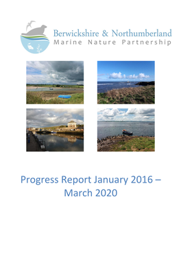 Progress Report January 2016 – March 2020 1