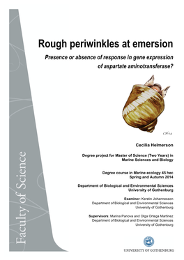 Rough Periwinkles at Emersion Presence Or Absence of Response in Gene Expression of Aspartate Aminotransferase?