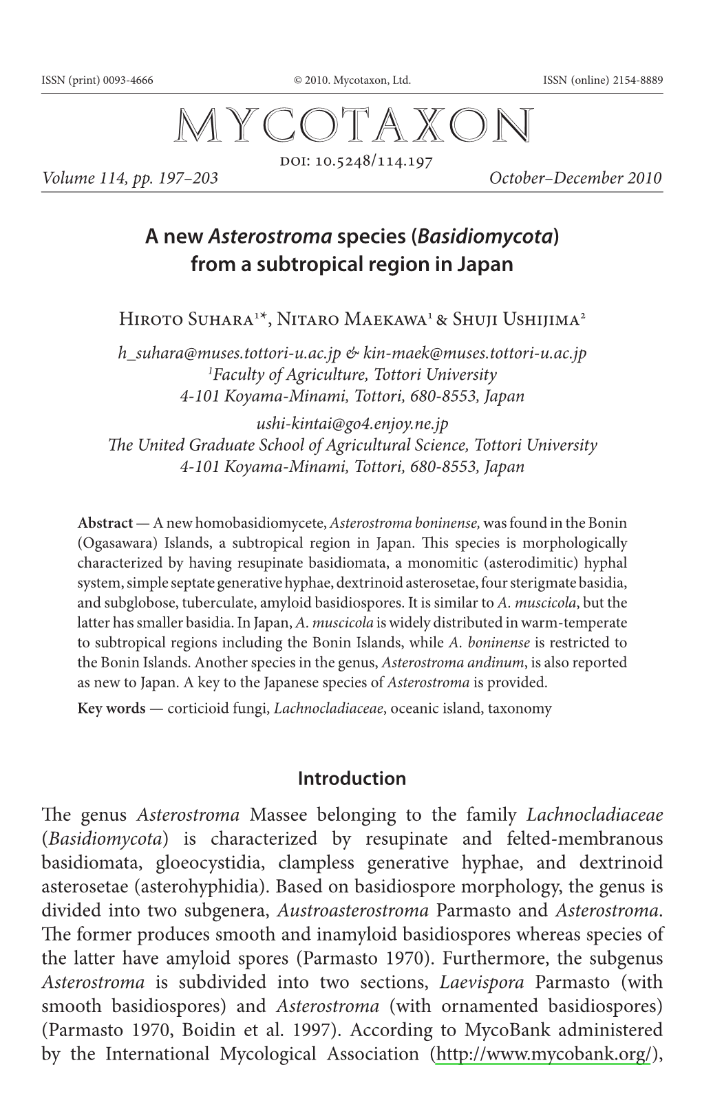 A New &lt;I&gt;Asterostroma&lt;/I&gt; Species (&lt;I&gt;Basidiomycota&lt;/I&gt;) from a Subtropical Region in Japan