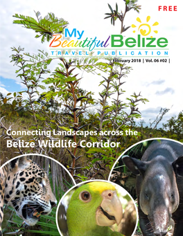 Belize Wildlife Corridor