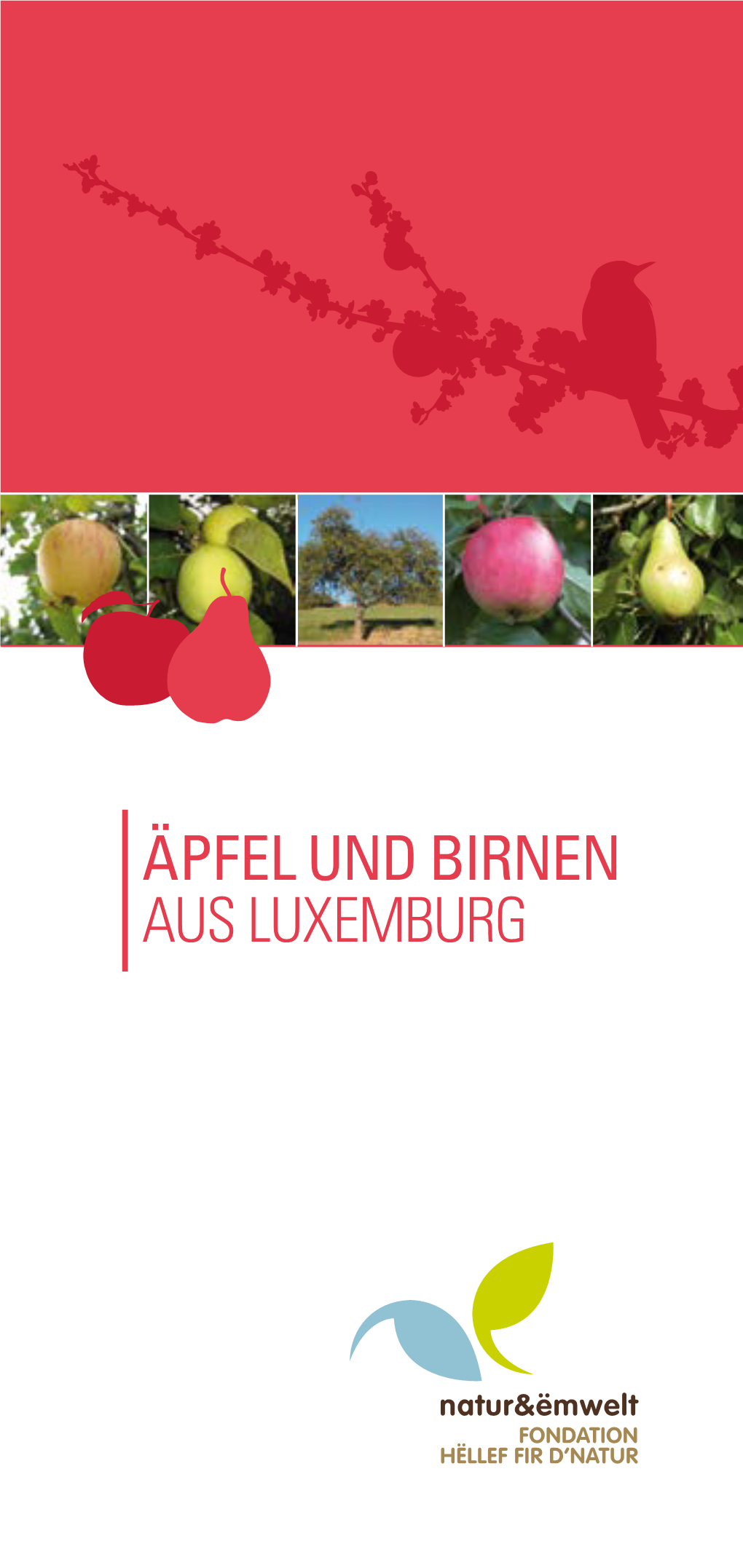 Äpfel Und Birnen Aus Luxemburg