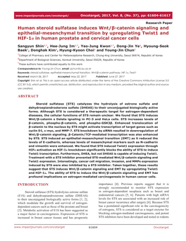 Human Steroid Sulfatase Induces Wnt/Β-Catenin Signaling and Epithelial