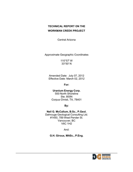 Technical Report on the Workman Creek Project