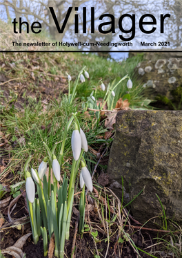 The Newsletter of Holywell-Cum-Needingworth March 2021