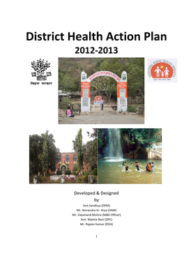 District Health Action Plan 2012-2013