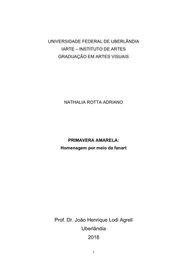 Prof. Dr. João Henrique Lodi Agreli Uberlândia 2018
