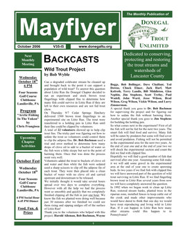 8 Page Mayflyer PDF Template.Pub