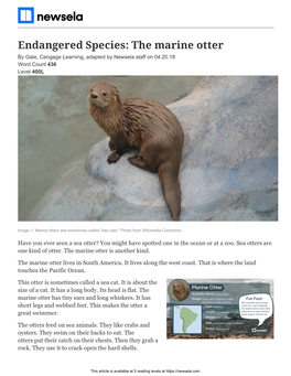 Endangered Species: the Marine Otter by Gale, Cengage Learning, Adapted by Newsela Staff on 04.20.18 Word Count 436 Level 400L