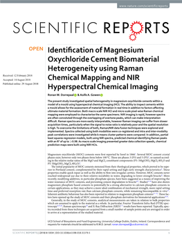 Identification of Magnesium Oxychloride Cement Biomaterial Heterogeneity Using Raman Chemical Mapping and NIR Hyperspectral Chem