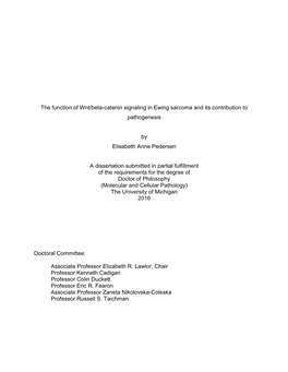 The Function of Wnt/Beta-Catenin Signaling in Ewing Sarcoma and Its Contribution to Pathogenesis