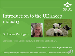 The UK Sheep Industry