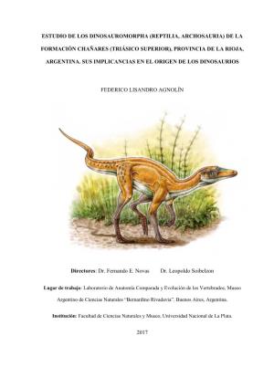 (Reptilia, Archosauria) De La Formación Los Chañares