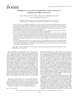 1757 Spatial Patterning in the Angiosperm